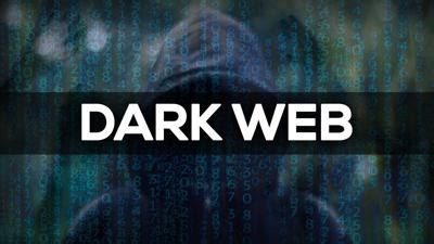 imscr|Dark web child abuse image site with 400,000 members taken down.